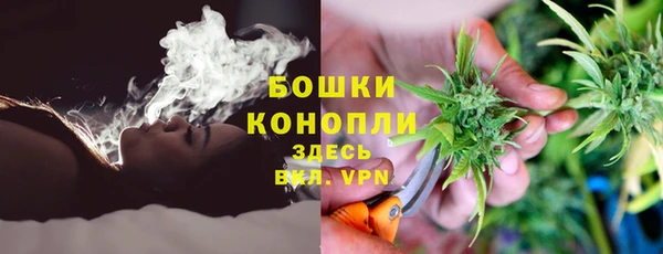 СК Михайловск