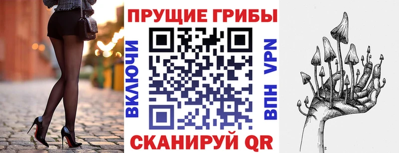 дарк нет состав  Новая Усмань  Псилоцибиновые грибы мухоморы 